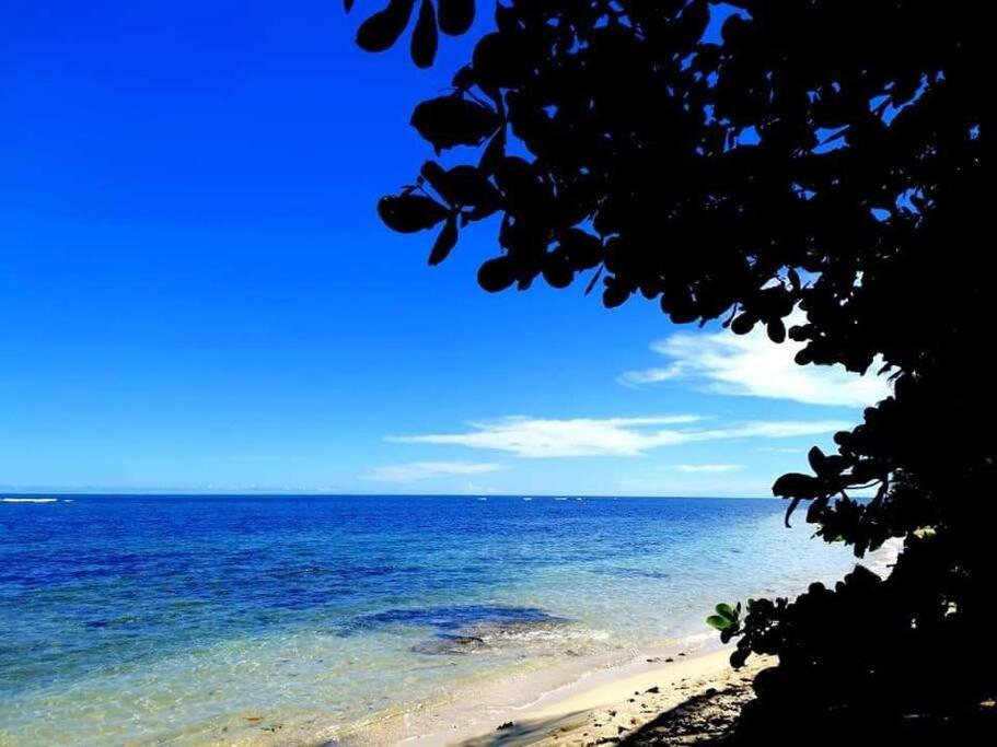 Manta Ray'S Cahuita Apart.公寓 外观 照片