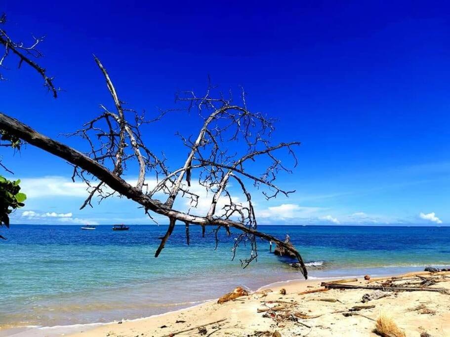 Manta Ray'S Cahuita Apart.公寓 外观 照片