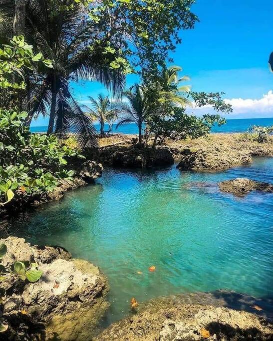 Manta Ray'S Cahuita Apart.公寓 外观 照片